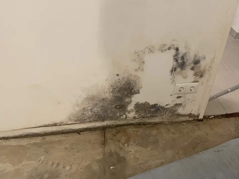 Schimmelbeseitigung Wand Malermeister Klein Schimmelbefall Wand Beseitigung von Malermeister Klein